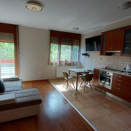 Sunny Loft Kecskemet Kecskemét Exterior foto